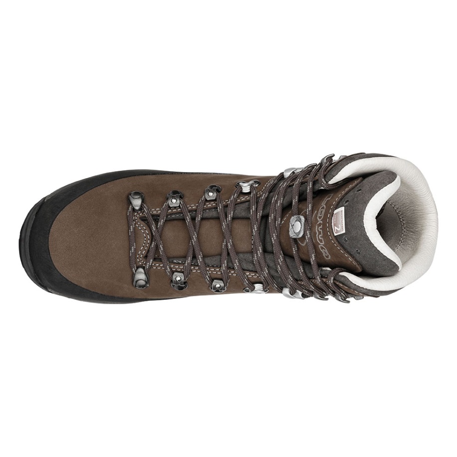 Zema Tumši Brūna/slānekļa Tibeta Ll Ws